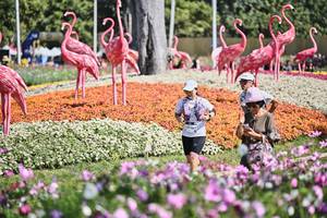 BIB: 
                            <button type="button" onclick="openModal(27793837)" class="btn btn-primary btn-sm float-right btn-popup" data-toggle="modal" data-target=".modal-high-quality">
                        <i class="fas fa-shopping-cart"></i> Add to Cart
                    </button>
                                            <button type="button" onclick="isThisMe(27793837, true)" class="btn btn-success btn-sm float-right btn-popup btn-isme hidden" data-toggle="tooltip" data-placement="bottom" title="นี่คือรูปของคุณใช่ไหม คลิกที่นี่เพื่อเอาเข้าอัลบั้ม">
                        <i class="fas fa-plus"></i> Add to album
                    </button>
                    <button type="button" onclick="isThisMe(27793837, false)" class="btn btn-warning btn-sm float-right btn-popup btn-isnotme hidden">
                        <i class="fas fa-ban"></i> Remove from album
                    </button>